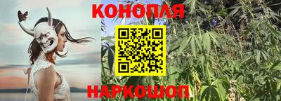 МДМА Новозыбков