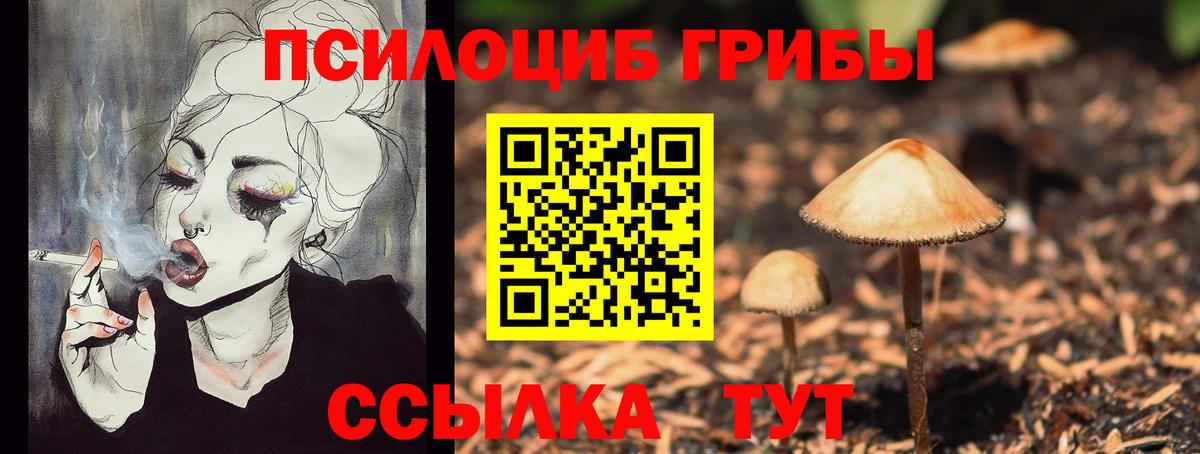 Галлюциногенные грибы GOLDEN TEACHER Строитель