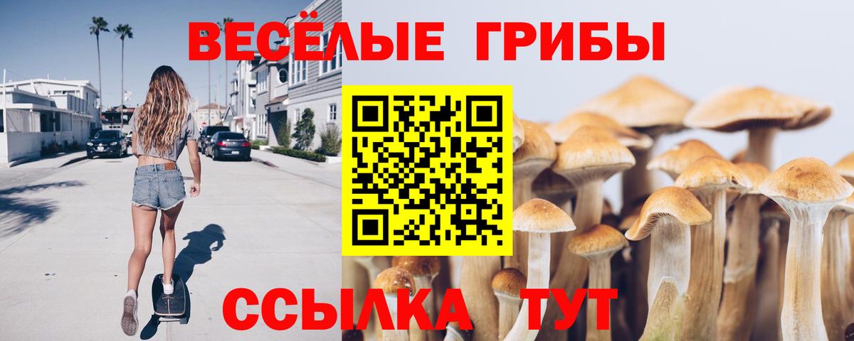 Псилоцибиновые грибы Cubensis  Вход с VPN  Псилоцибиновые грибы мицелий  Строитель 